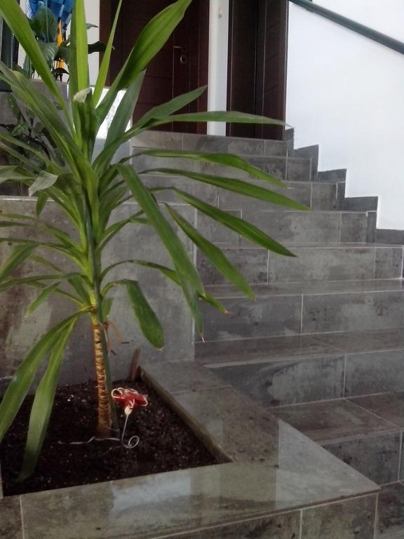 Apartments "Belle Vue" تْشيرسيك نوفي الغرفة الصورة